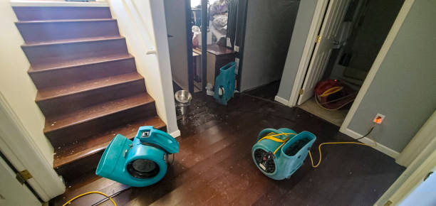 Best Water damage contractors near me  in Lincoln, ND
