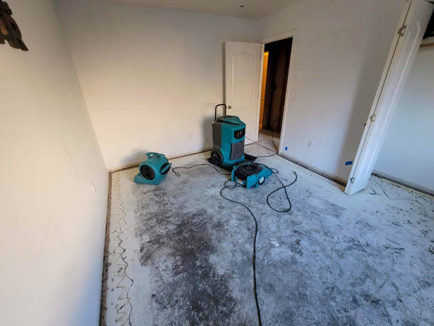 Best Fire Damage Restoration  in Lincoln, ND