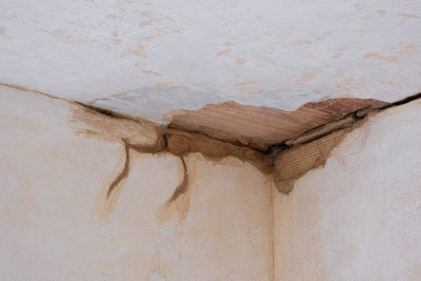 Best Flooded house restoration  in Lincoln, ND