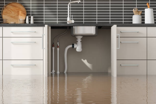 Best Water damage restoration process  in Lincoln, ND