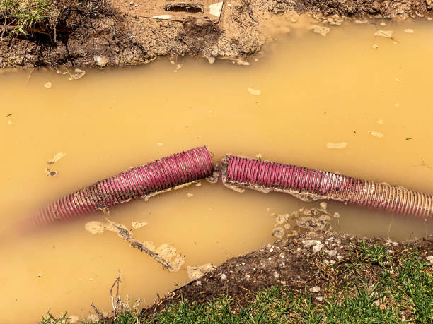 Local water damage restoration in ND