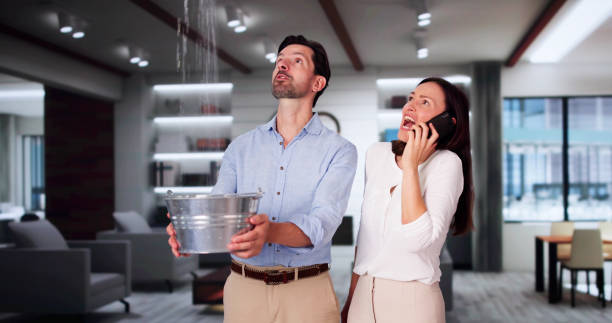 Best Flood restoration services  in Lincoln, ND
